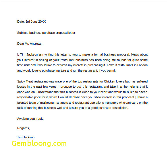 Business Proposal Email Format Beautiful 32 Sample Business 